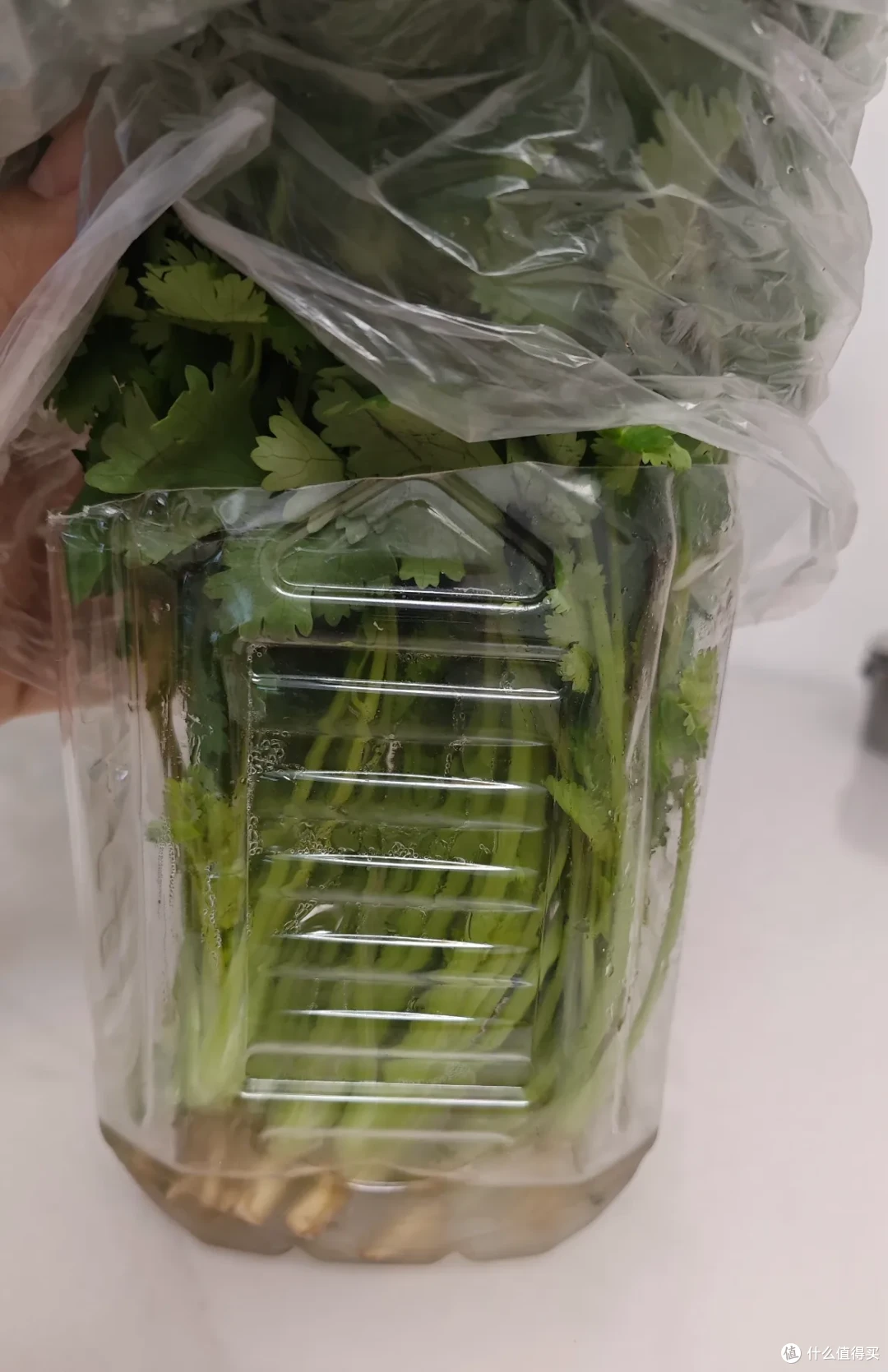没错!我就是那个食物分装邪修,其实可以用放冰箱重构厨房秩序