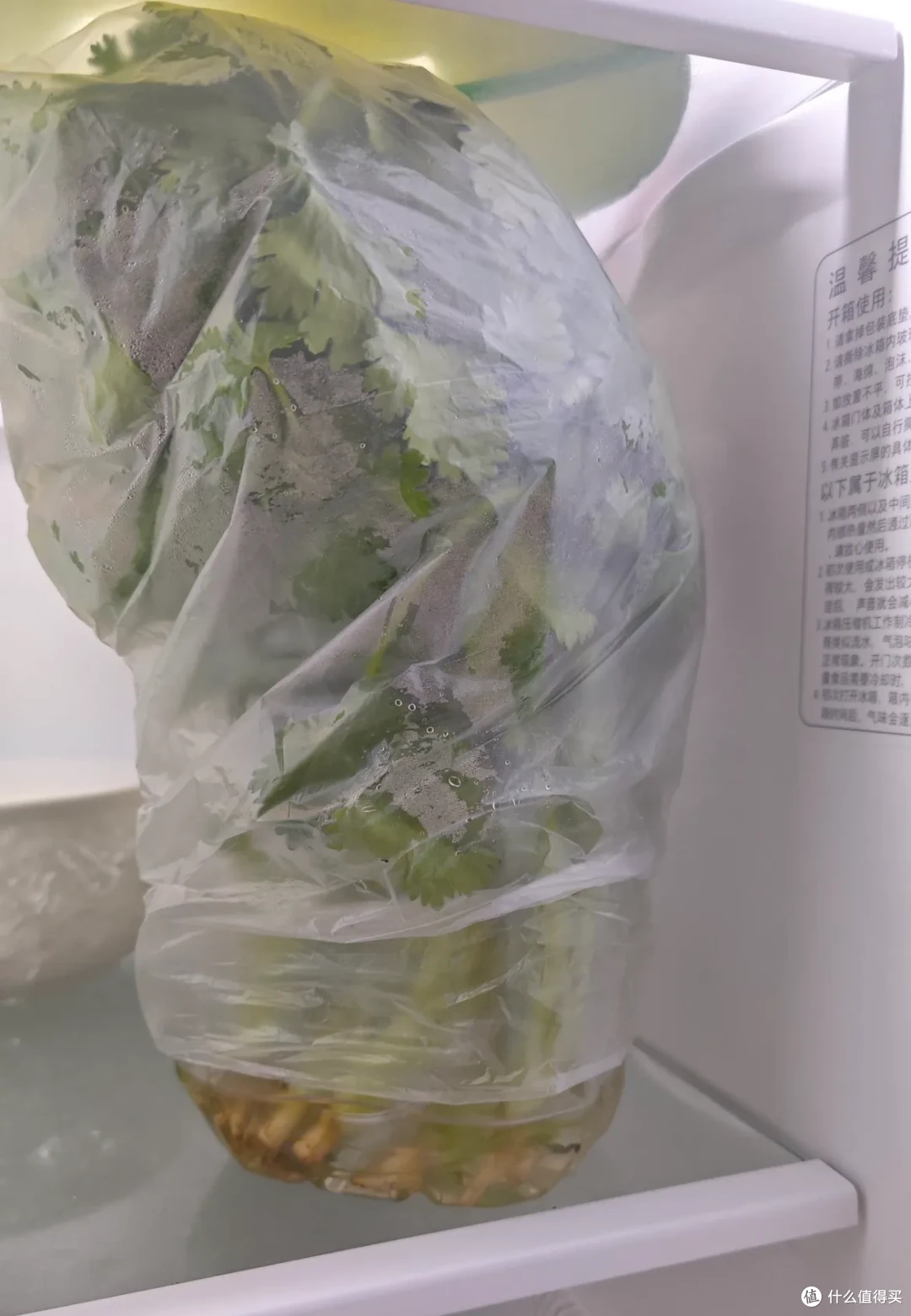 没错!我就是那个食物分装邪修,其实可以用放冰箱重构厨房秩序