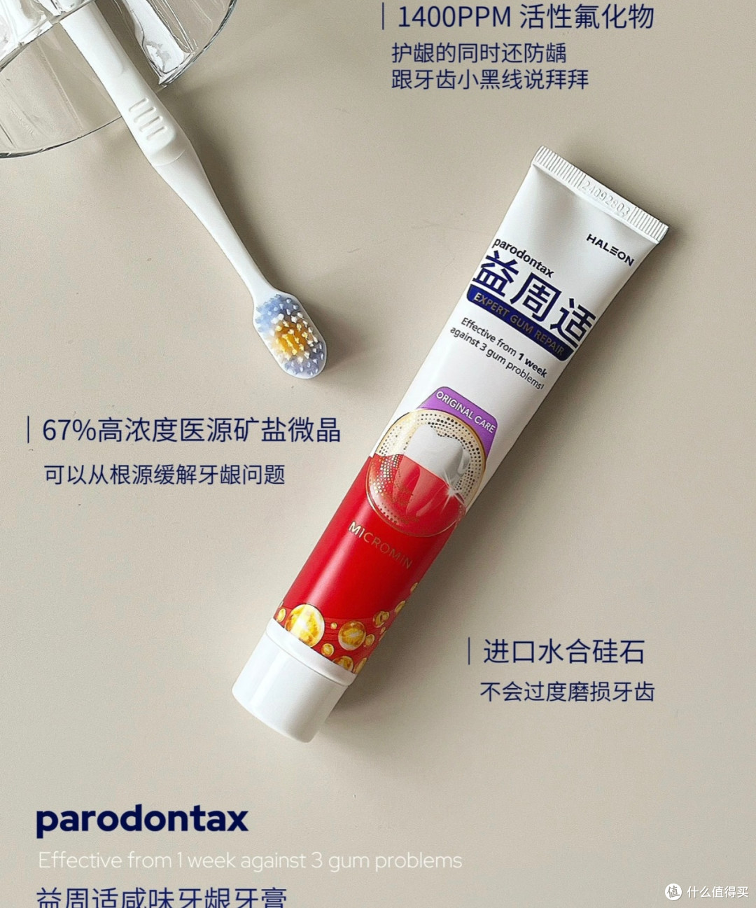 对抗牙菌斑,守护牙龈健康