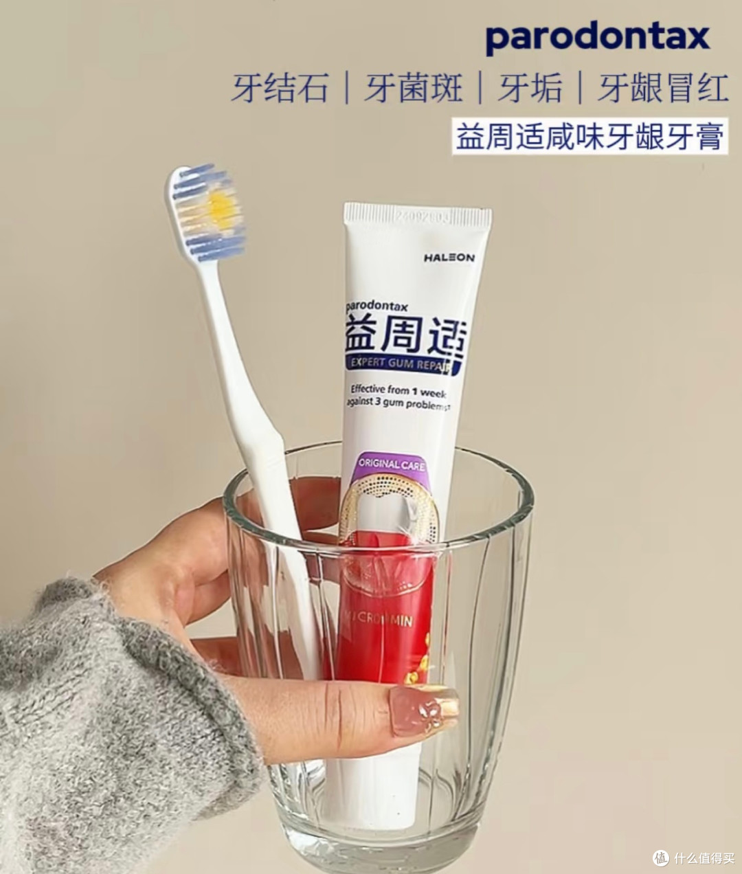对抗牙菌斑,守护牙龈健康