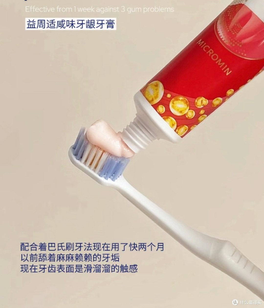 对抗牙菌斑,守护牙龈健康