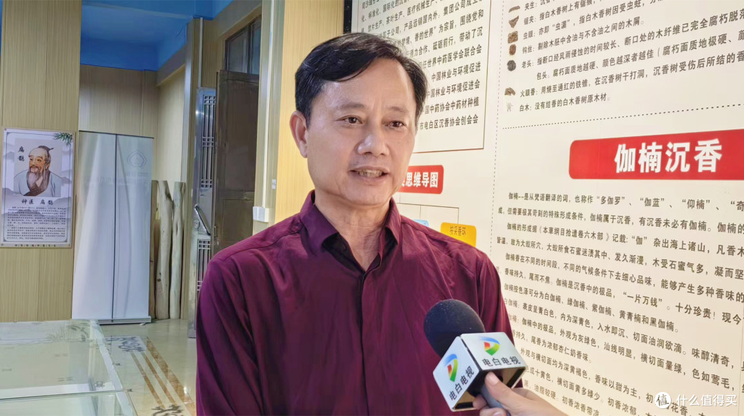 汪科元:携手行业力量整治沉香市场乱象,承诺只做真沉香