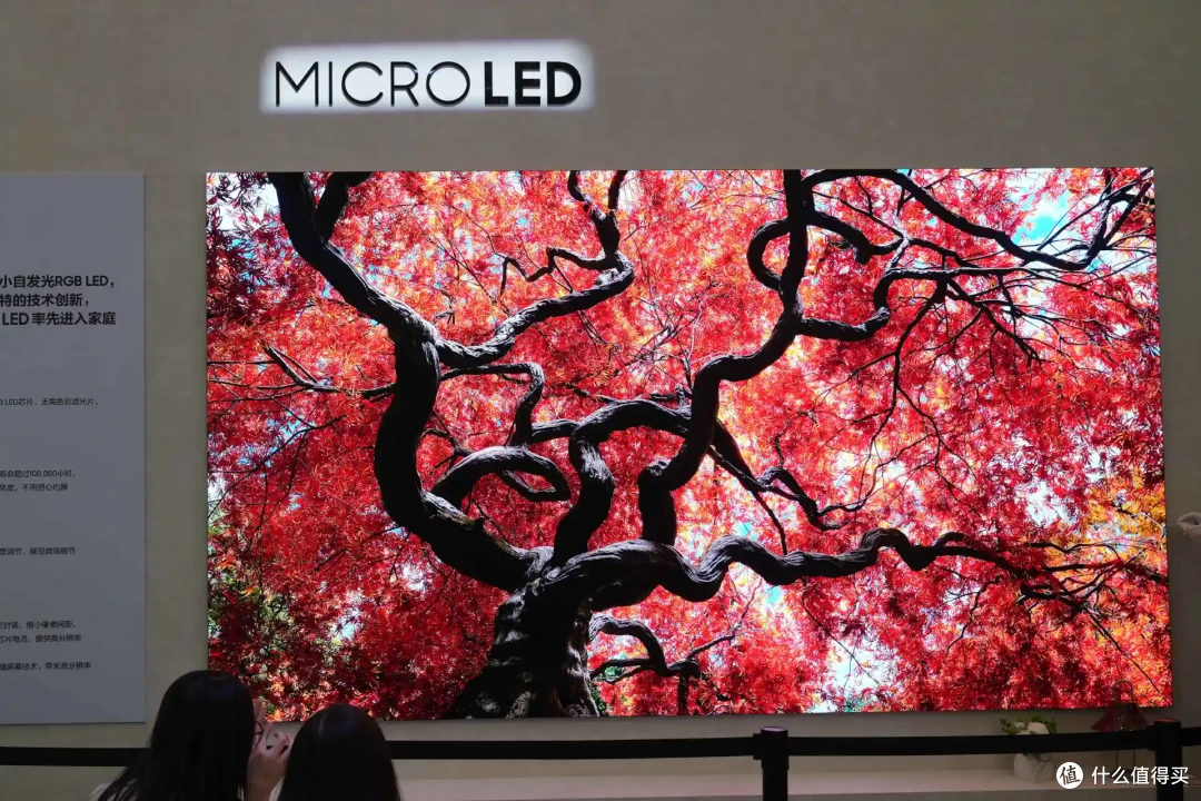 双十一电视机怎么选?OLED好还是MiniLED好?什么是RGB-Mini LED?