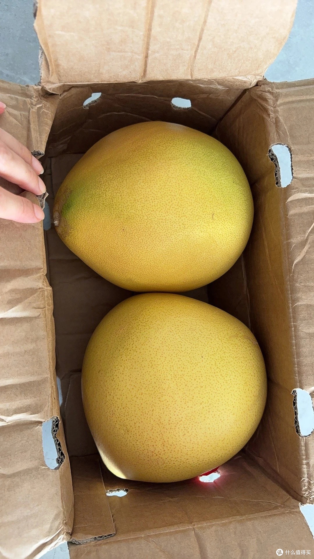 秋日红心柚:清甜与清爽
