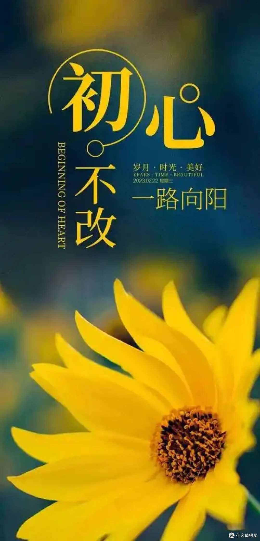 潜力作者成长记：从灵光一闪到白纸黑字