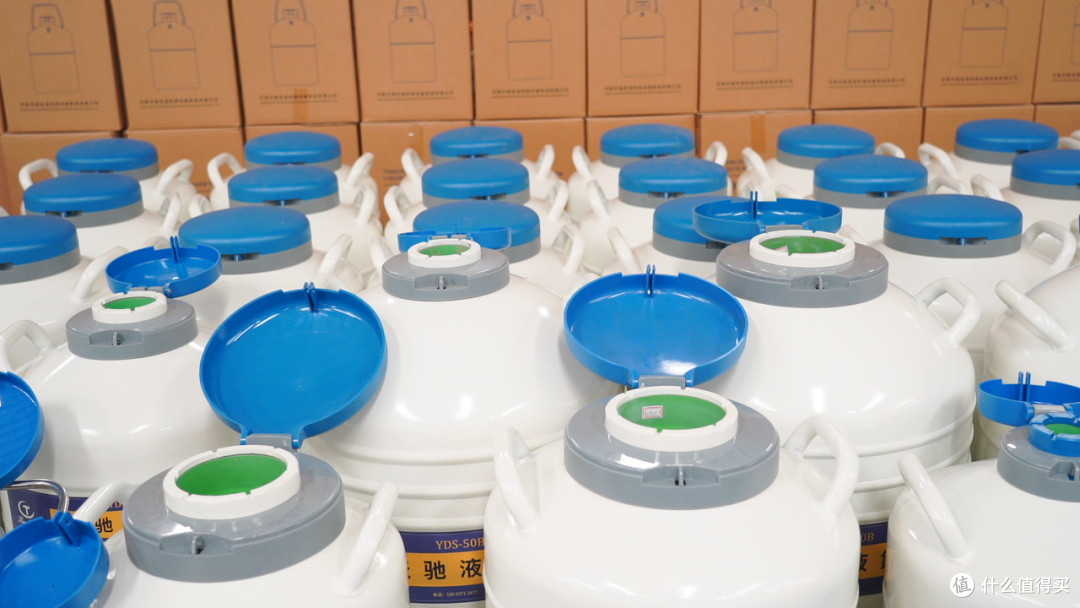 液氮罐供应商怎么选？从产品到服务的实用指南
