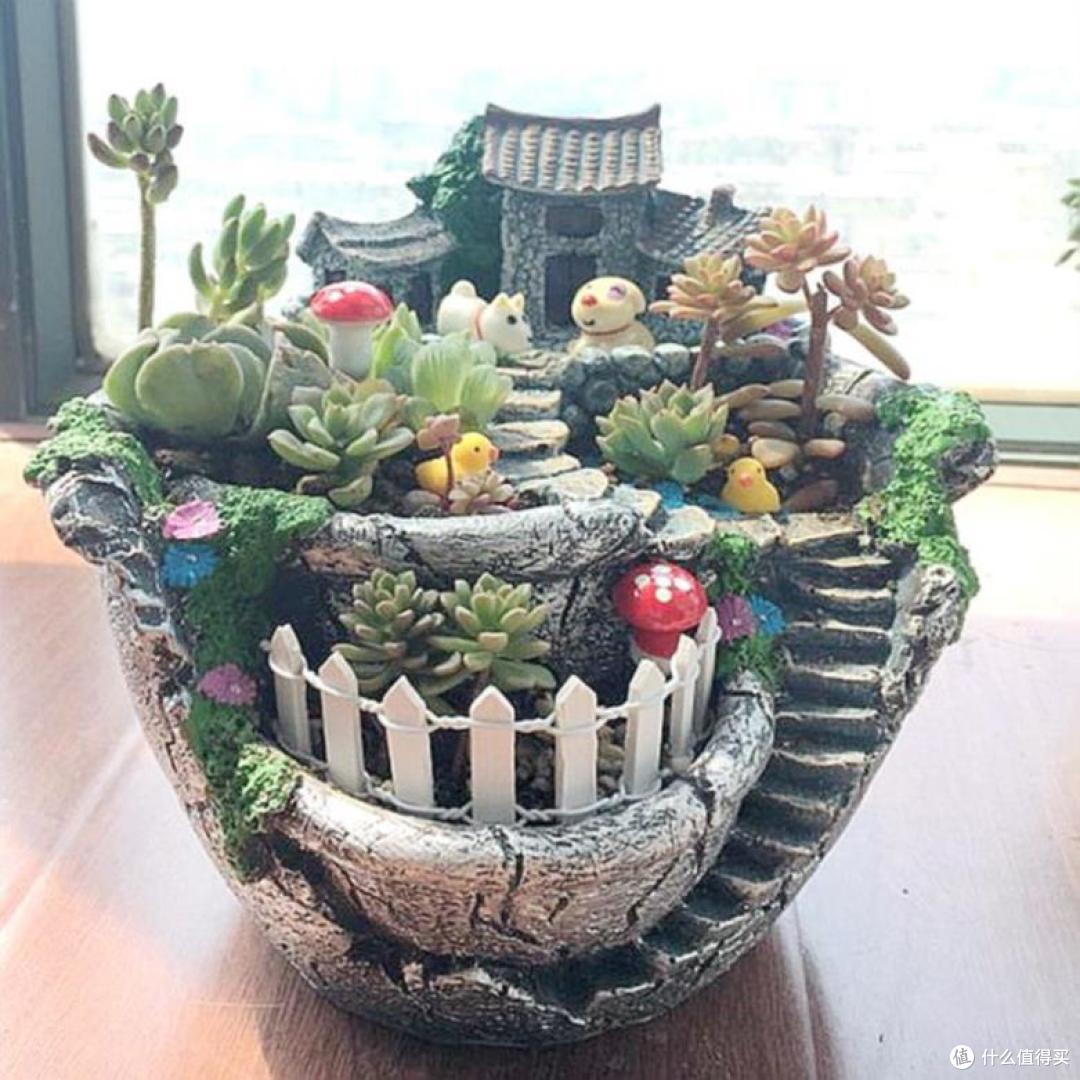 浇水不烂根，搬盆不打翻，阳台多肉终于养得活