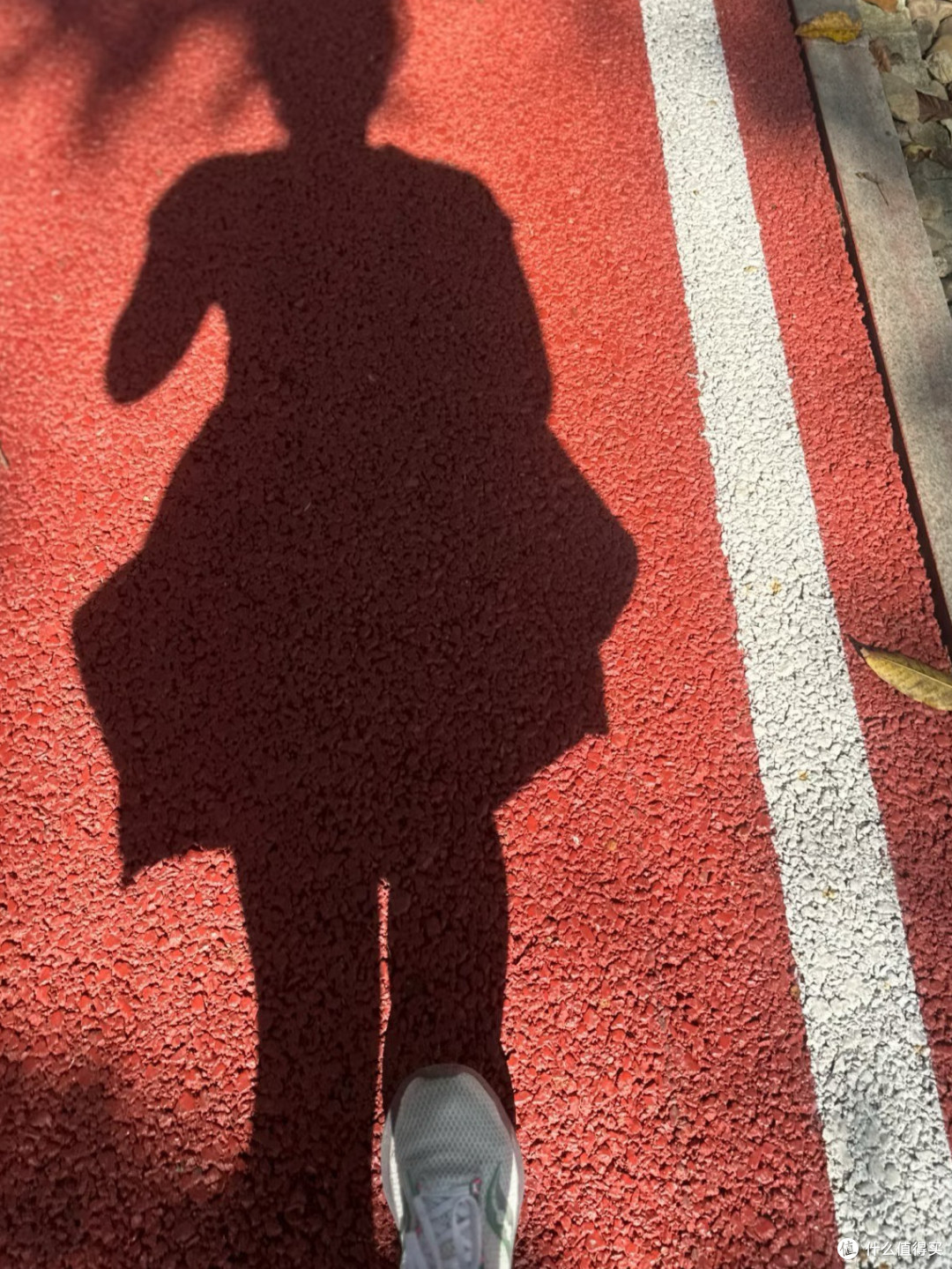 图片来源于网络