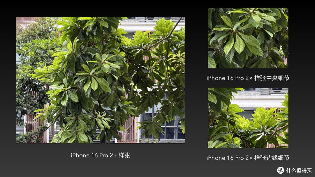 iPhone 17全网最强评测:性能与散热均惊艳,这点不如Pro