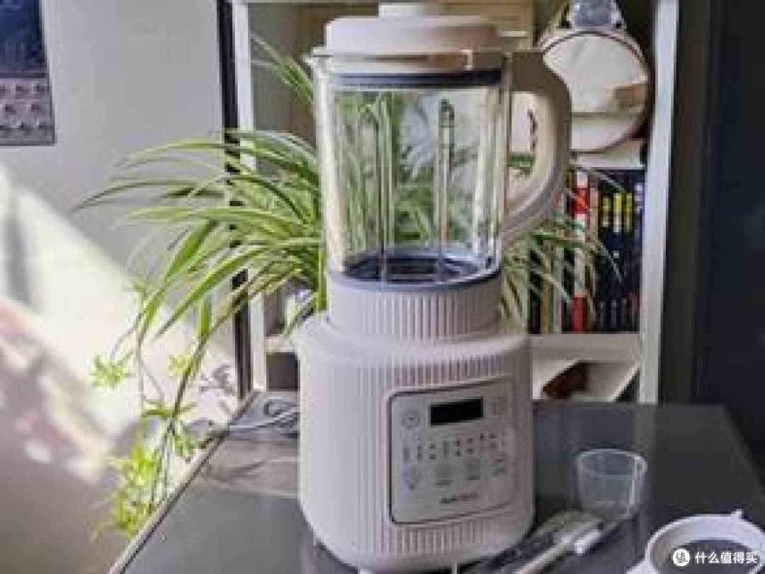 破壁机哪个牌子好？热门品牌测评真实数据分析！闭眼入！
