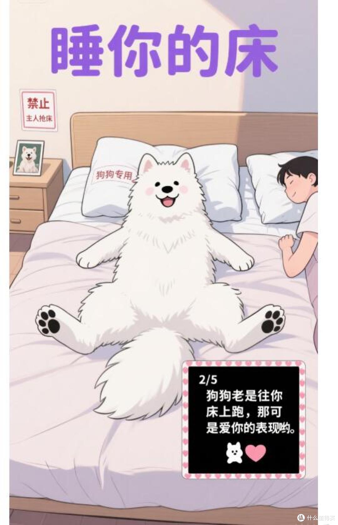 原来狗狗“睡觉”的地点,能看出它和你的亲密度!