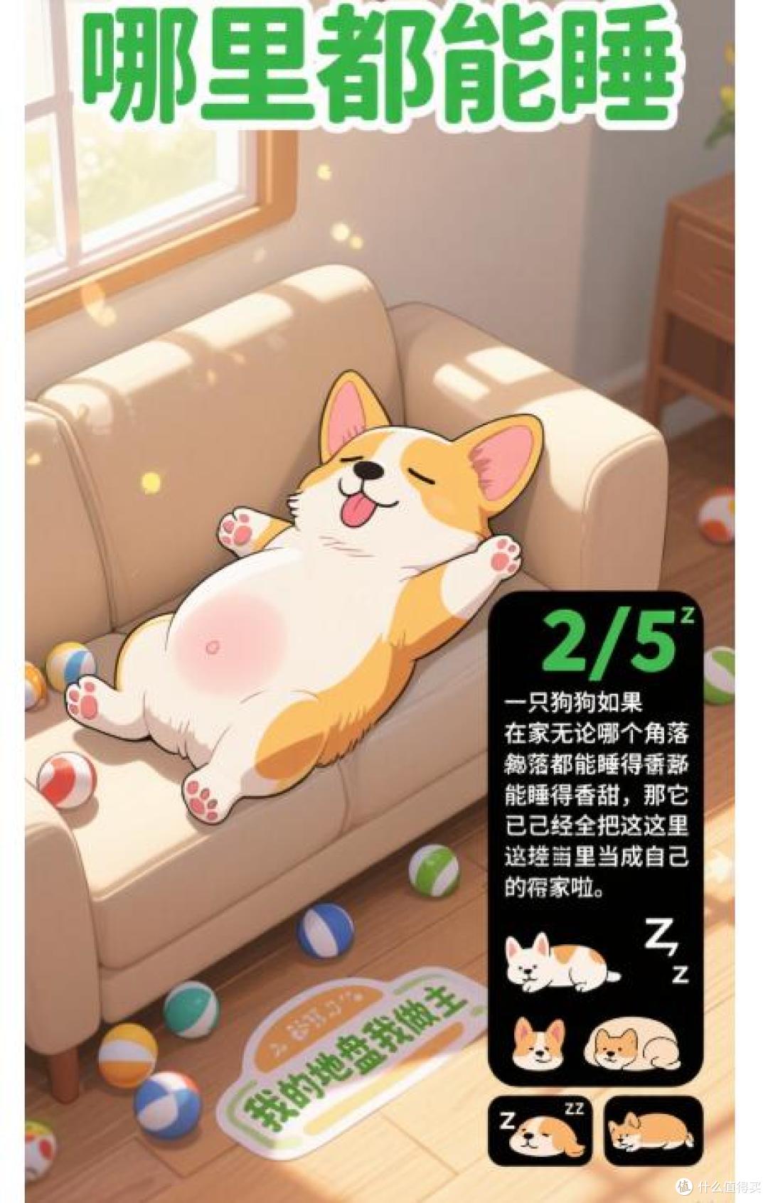 原来狗狗“睡觉”的地点,能看出它和你的亲密度!