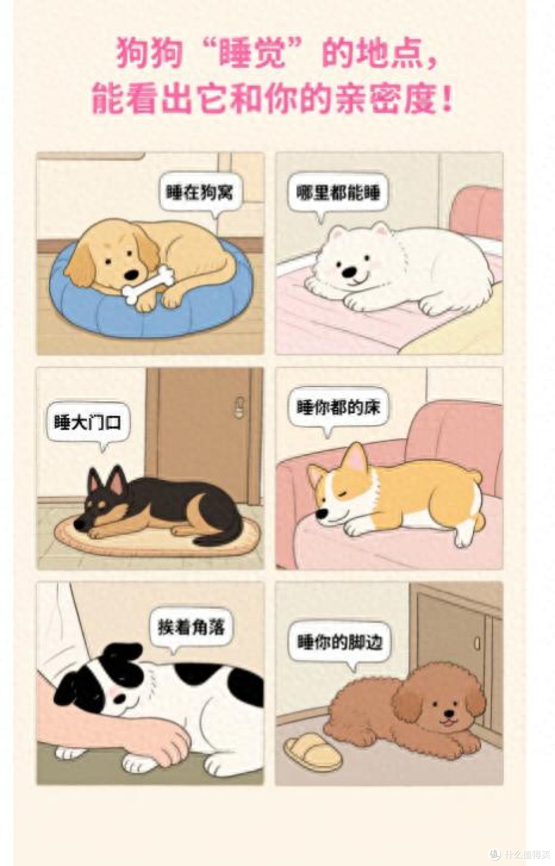 原来狗狗“睡觉”的地点,能看出它和你的亲密度!