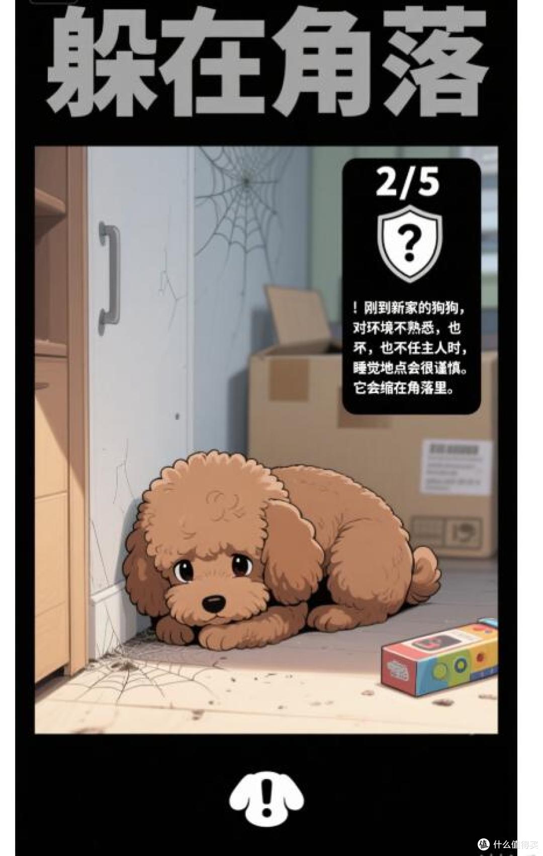 原来狗狗“睡觉”的地点,能看出它和你的亲密度!