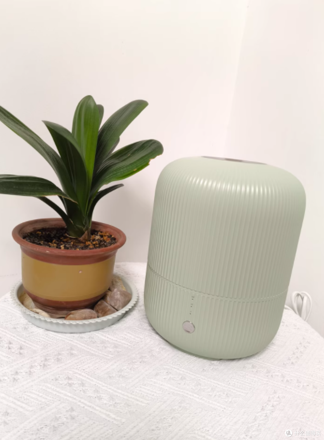 飞科 4L 加湿器：为全家健康筑起温润防线静音守护每一寸呼吸空间