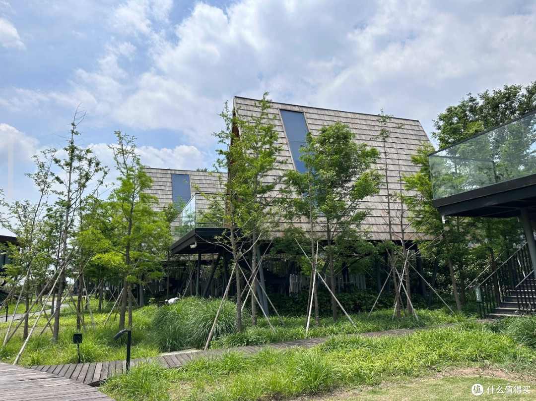 太仓树蛙部落:上海1h直达的自然疗愈地