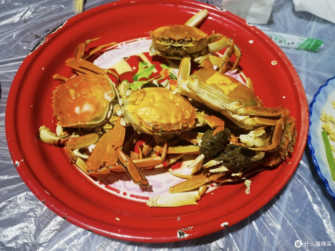 九月周末,赴盘锦红海滩的一场“红色之约”
