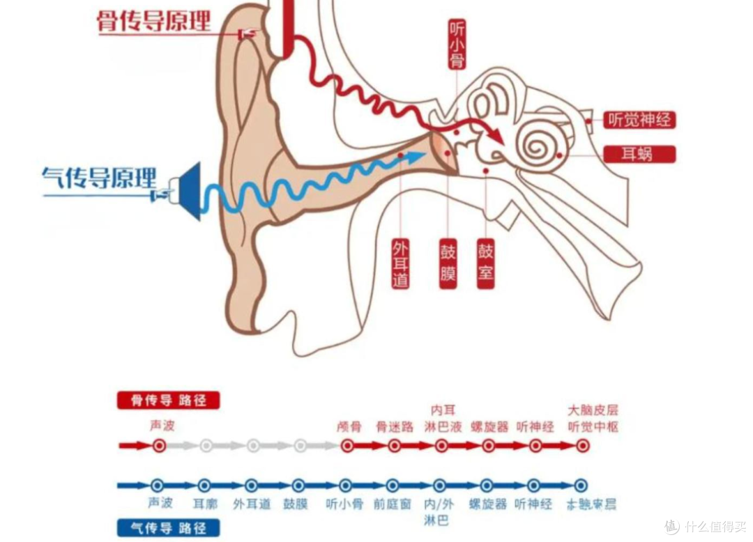 开放式耳机选购指南!哪些值得入手?小米/韶音/歌奈/JBL实测分享