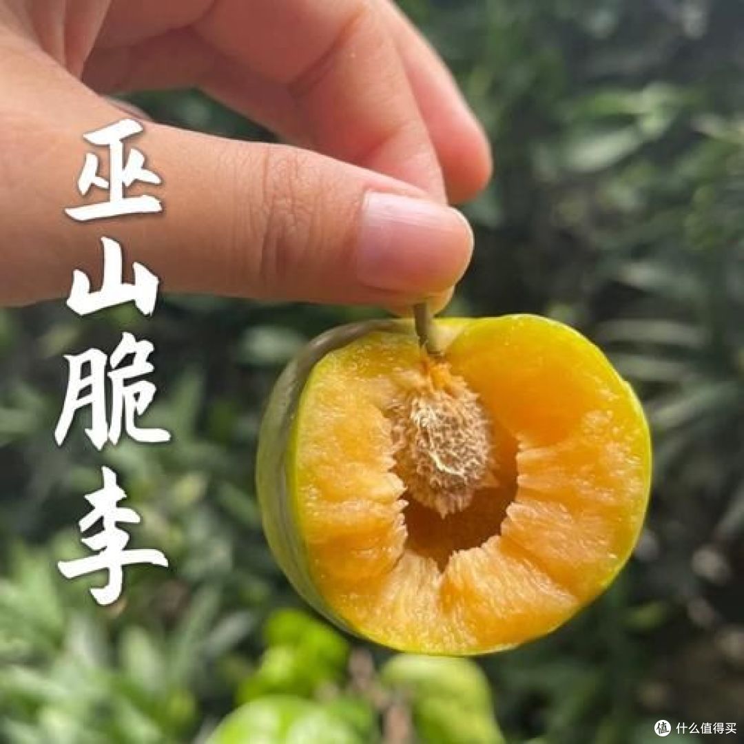 重庆水果特产十大名单，你吃过哪些？