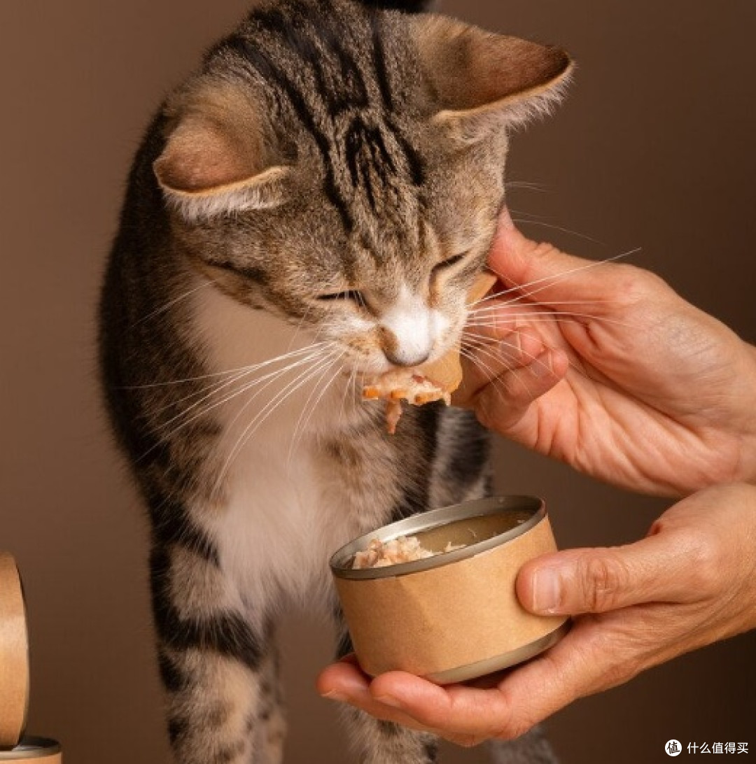 2025排名前十的猫罐头有哪些?性价比高的猫罐头大盘点!
