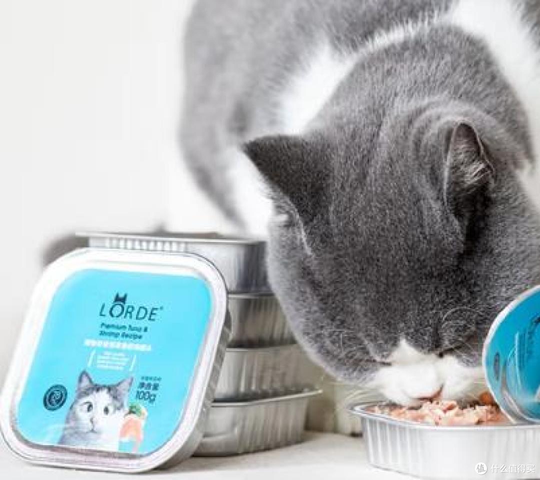 2025最新猫罐头品牌推荐哪些?猫罐头排行榜前4测评!