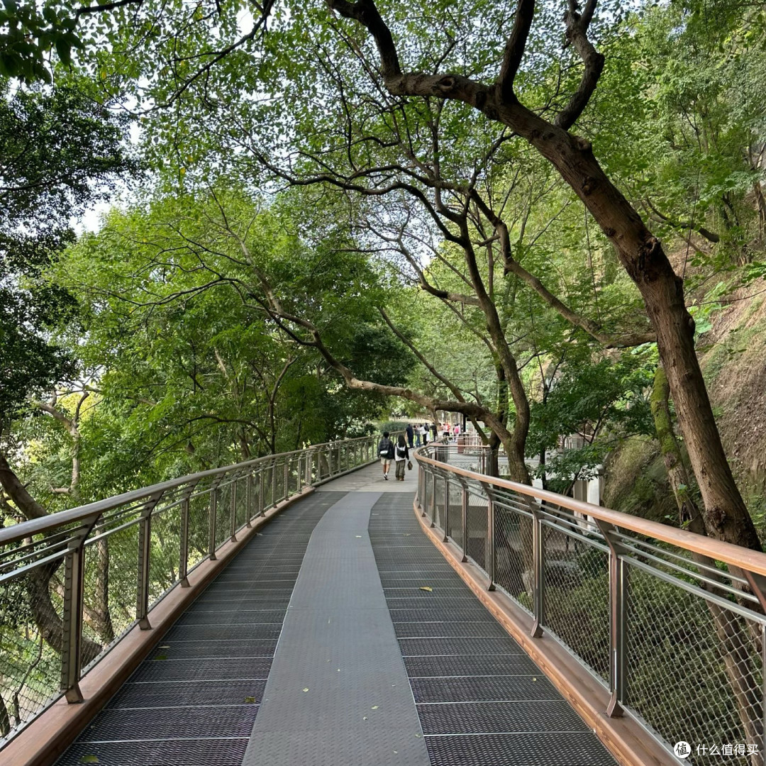 半山崖线漫步记:悬崖边的城市阳台