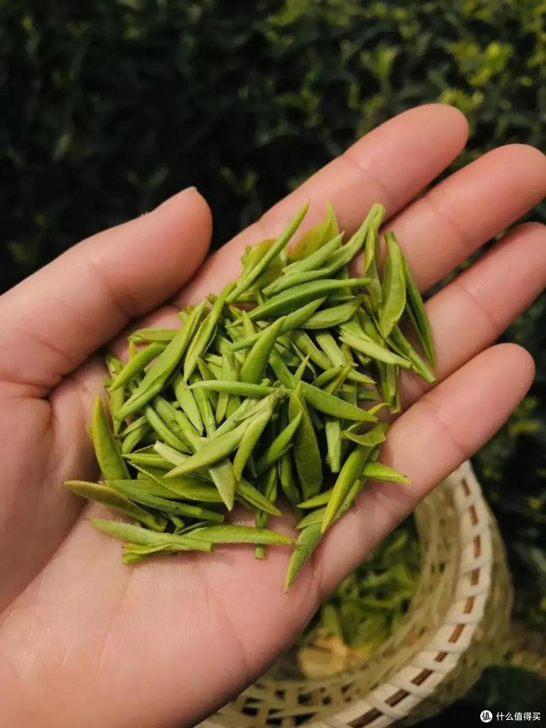 重庆,不只有火锅,小面,这10大特产更是一绝