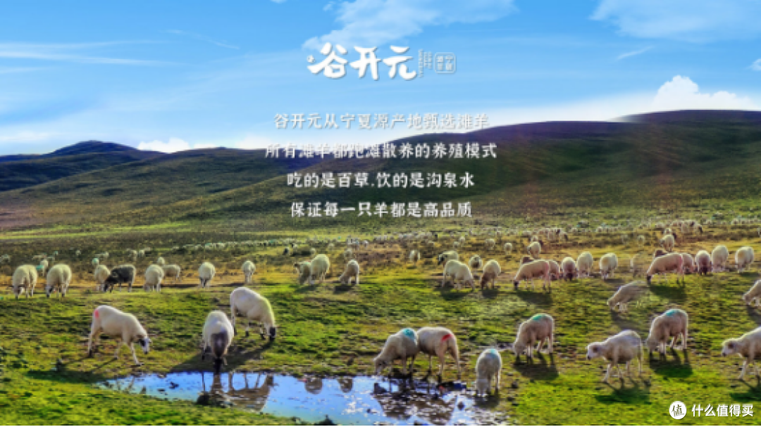 滩羊之乡?就选谷开元！