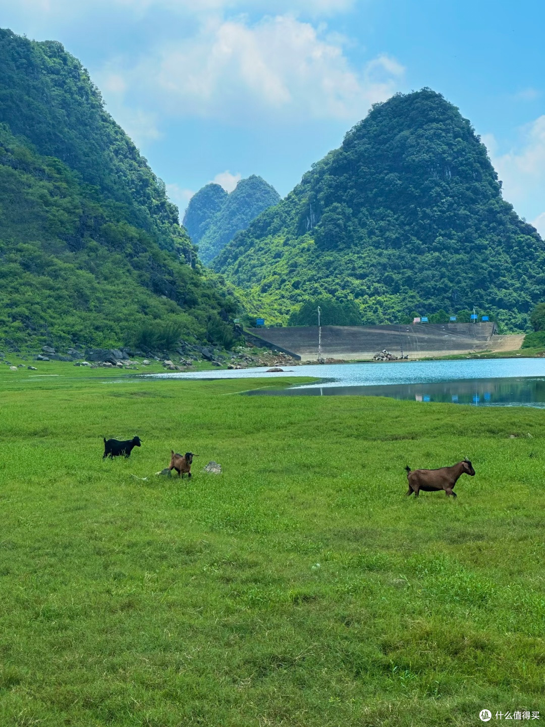 柳州1小时，闯进现实版绿野仙踪，凤山水库半日游！