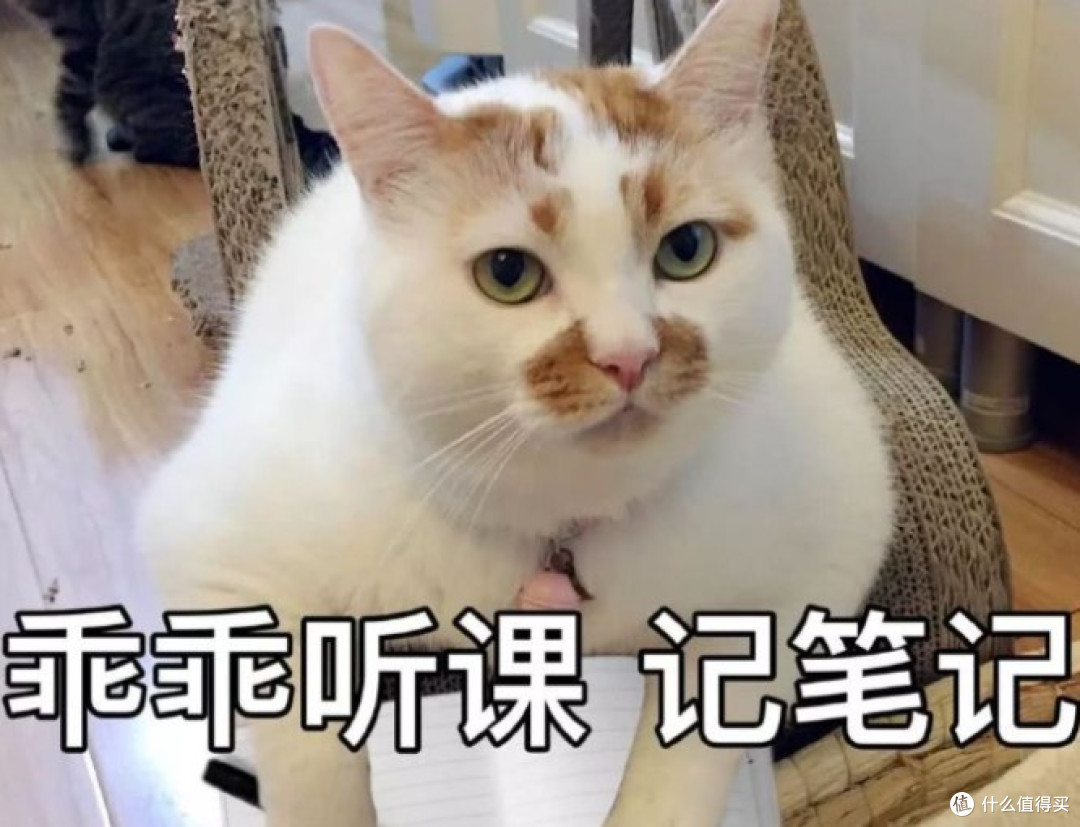 当代年轻人的“佛系养生”:一边作死,一边自救的魔幻日常