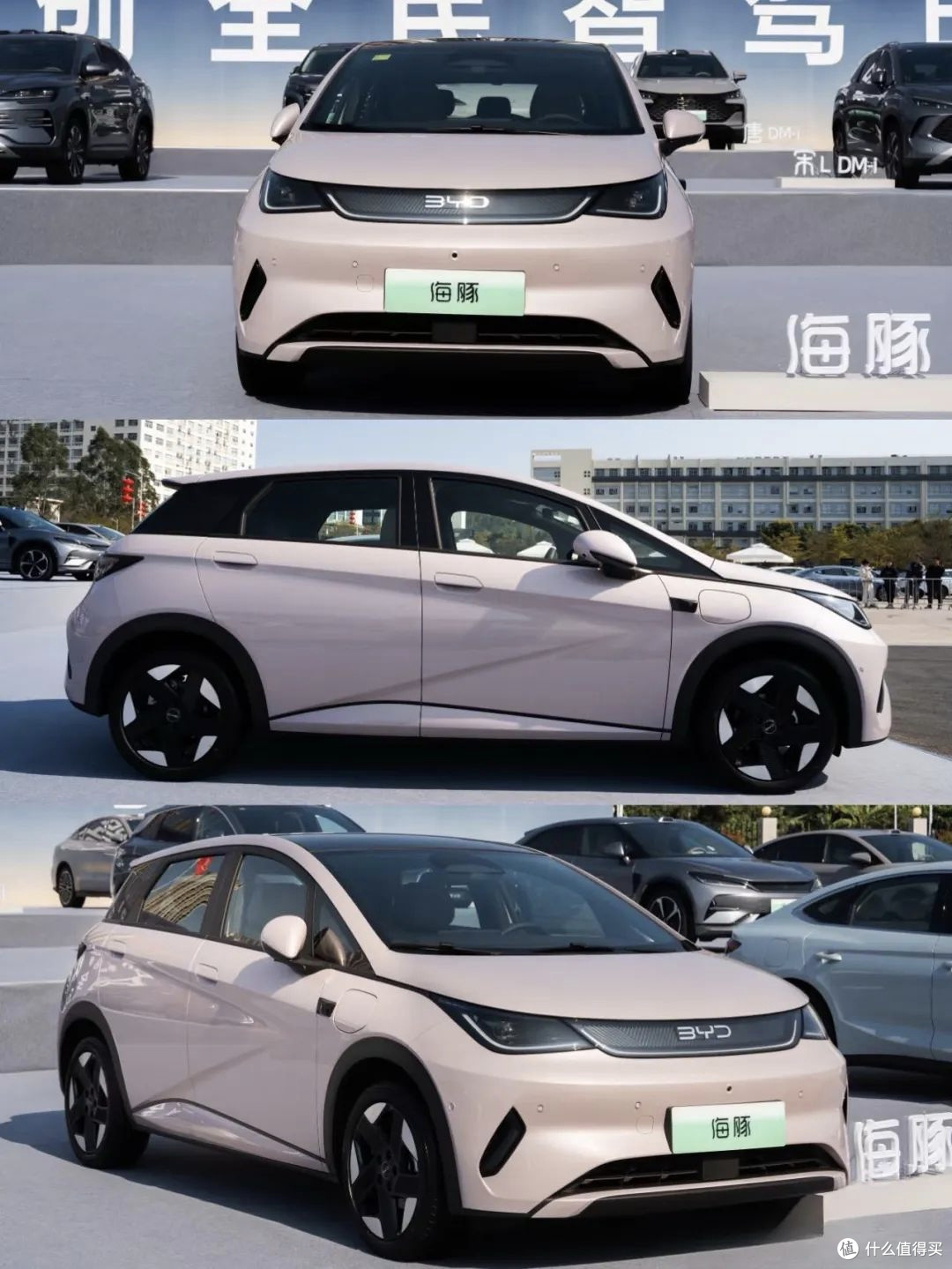 25万预算买车？比亚迪海豚让我果断出手