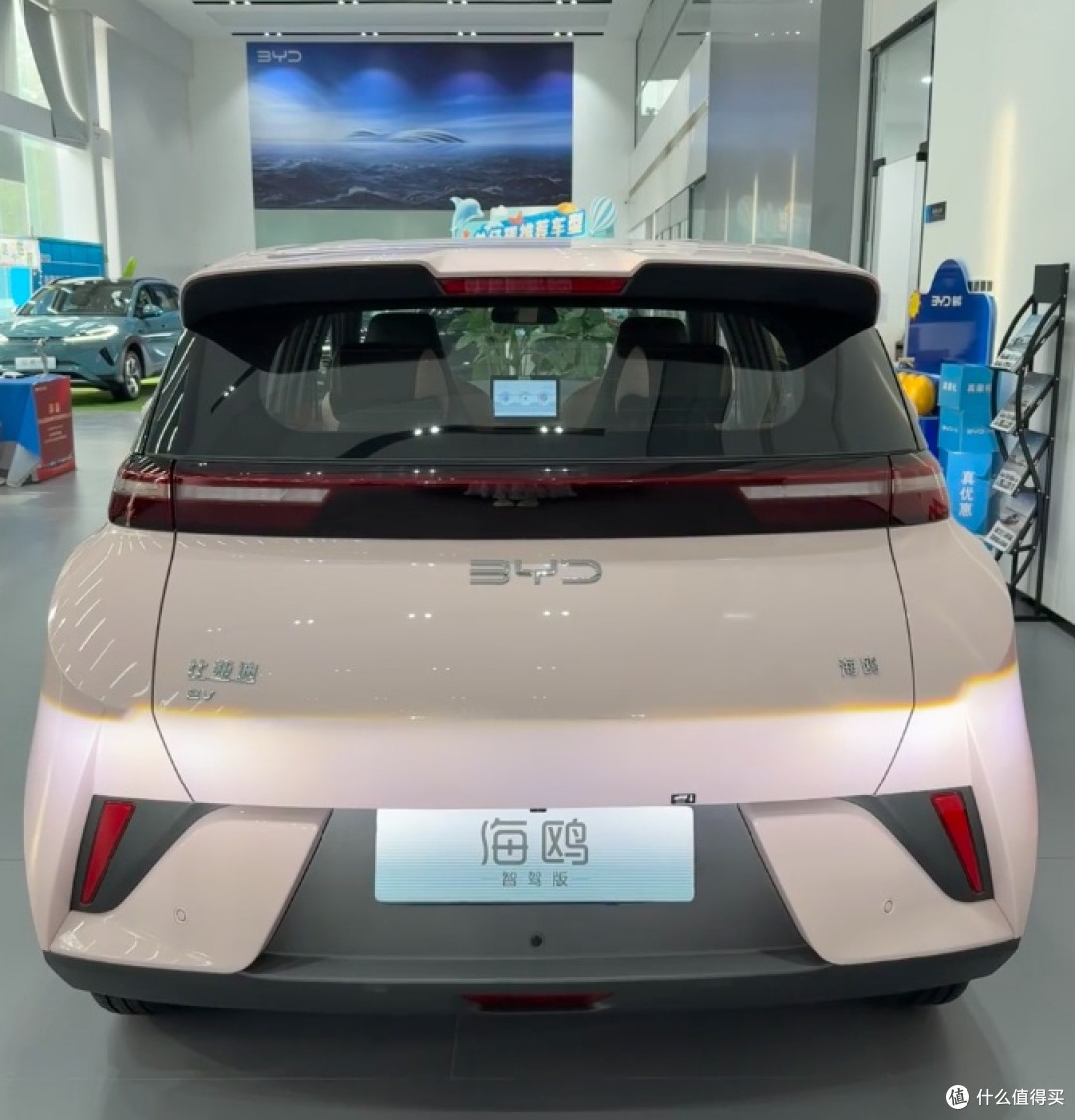 25万预算买车？比亚迪海豚让我果断出手