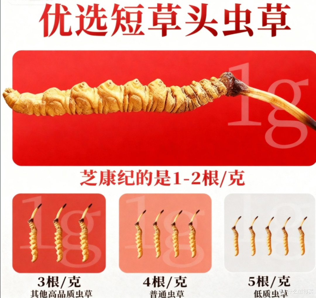 冬虫夏草哪个牌子正宗质量好?2025冬虫夏草全国品牌前十名大盘点