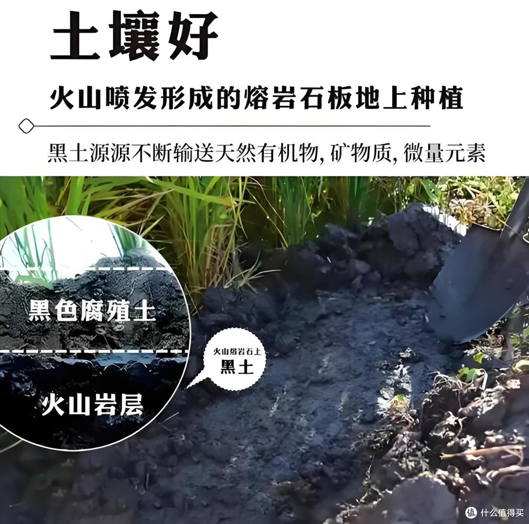 国产 “高端大米” 排行榜:这5种米,贵过普通米3倍,确实香