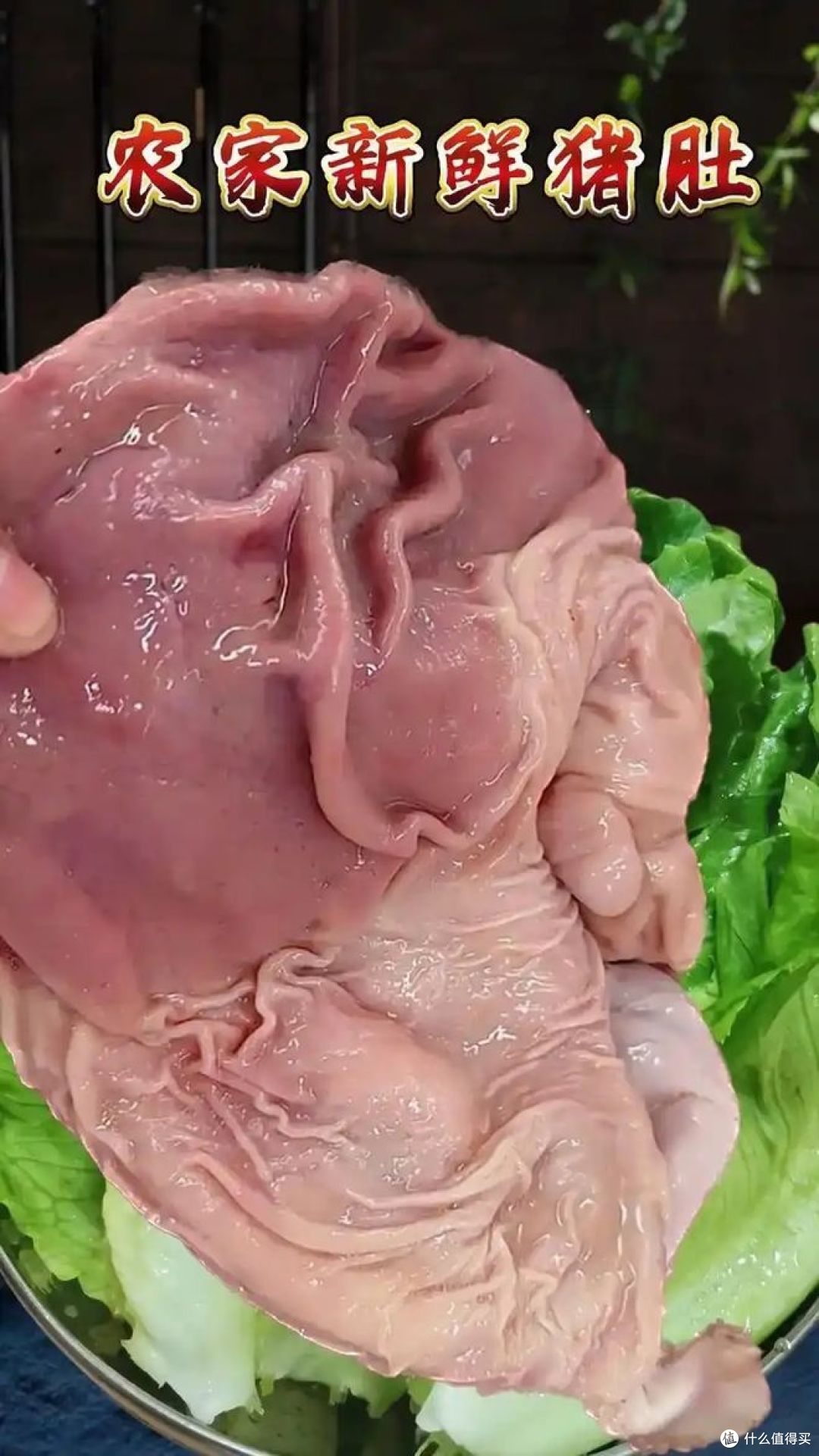 猪胃和猪肚有什么区别,哪种好吃?