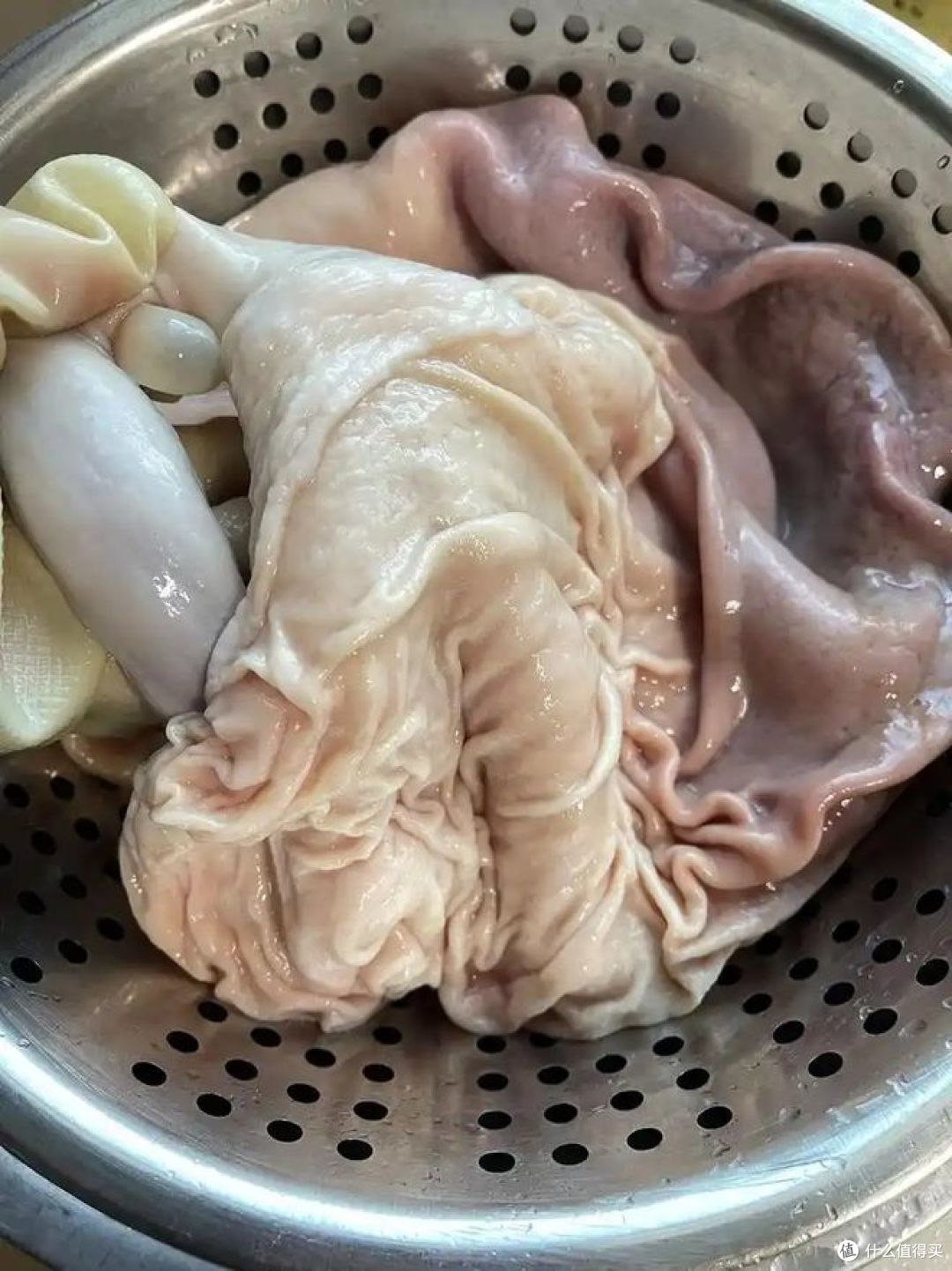 猪胃和猪肚有什么区别,哪种好吃?