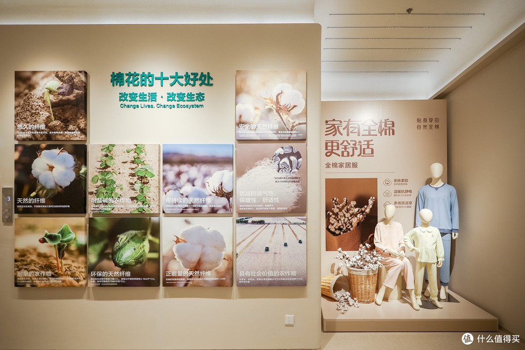 「一朵棉花改变世界」,全棉时代全球旗舰店盛大开幕