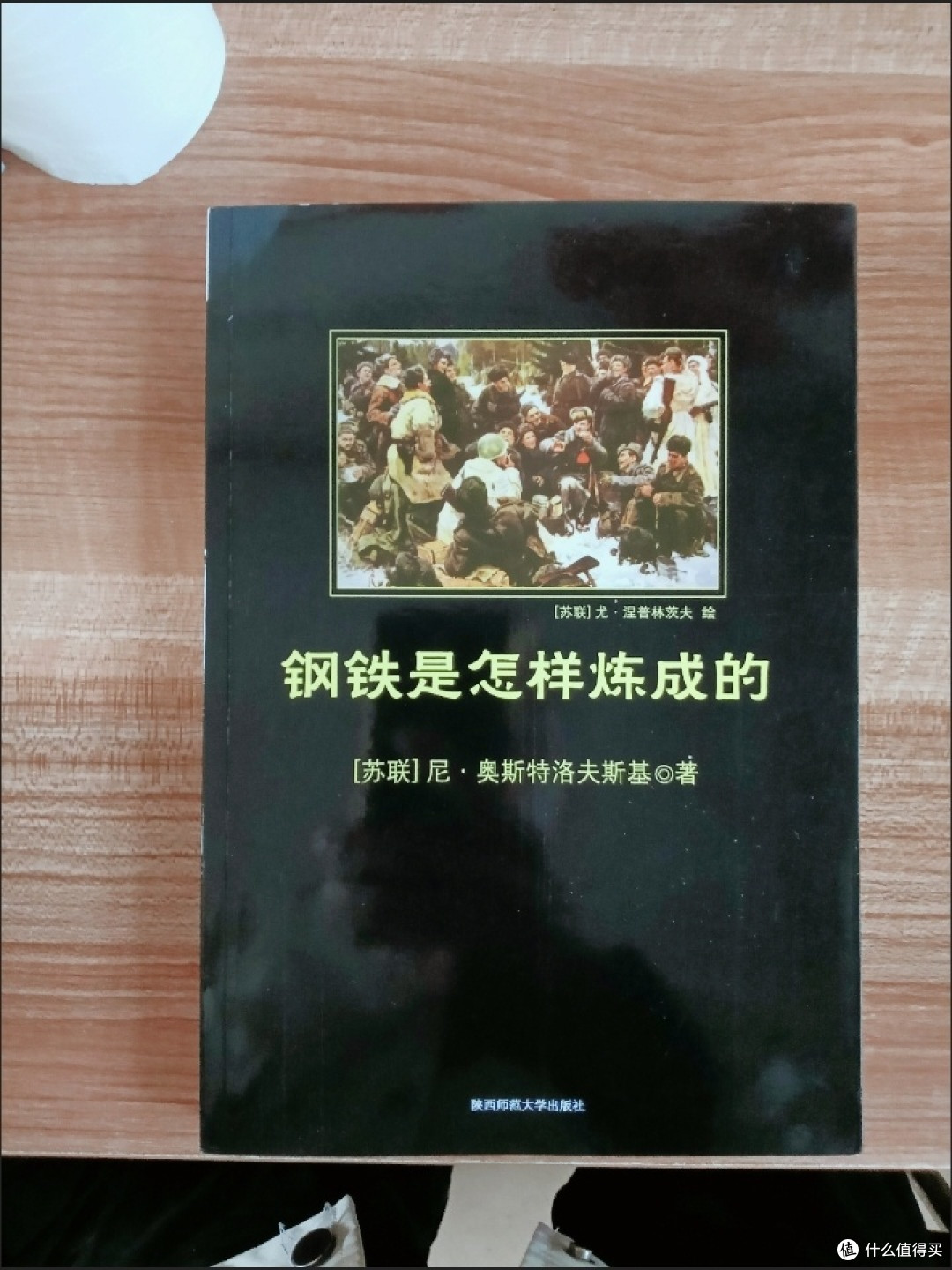 淬火成钢:《钢铁是怎样炼成的》阅读感悟