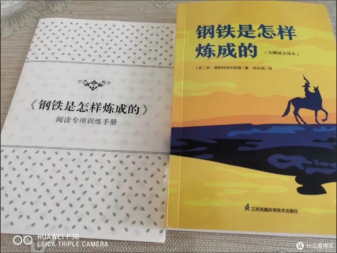 《钢铁是怎样炼成的》阅读体验:生命淬炼的永恒启示