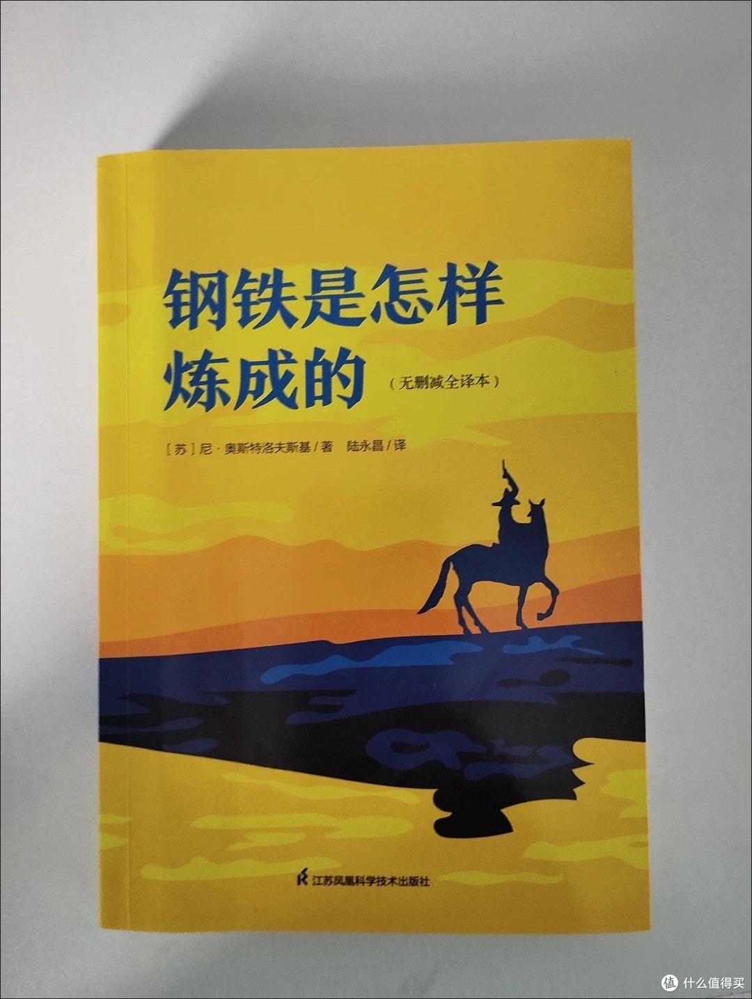 《钢铁是怎样炼成的》阅读体验:生命淬炼的永恒启示