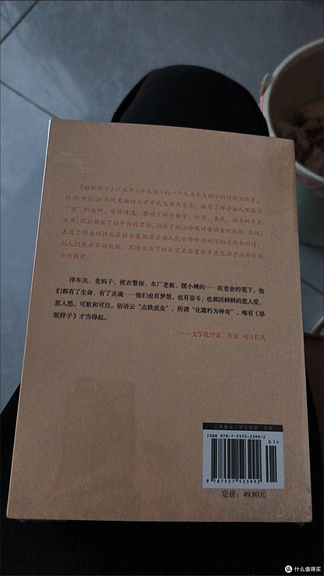 《骆驼祥子》:在时代泥沼中挣扎的悲歌