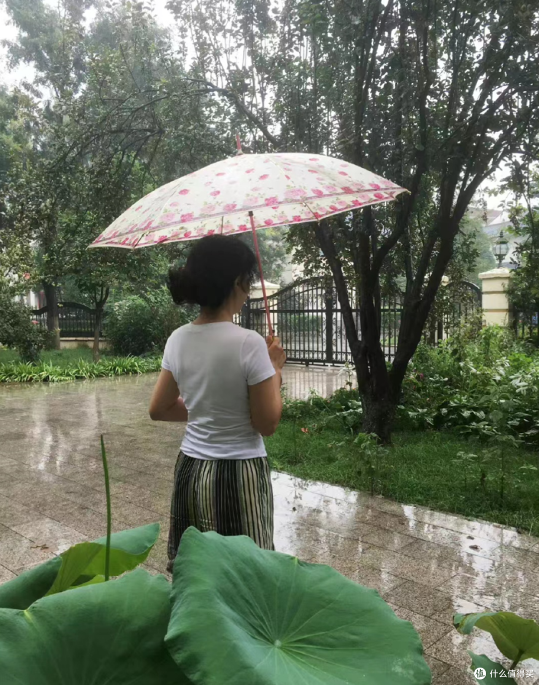 刘晓庆在北京价值上亿的豪宅,全屋大方而温馨,与狗为伴,羡慕!