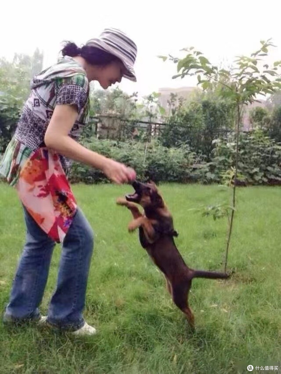 刘晓庆在北京价值上亿的豪宅,全屋大方而温馨,与狗为伴,羡慕!