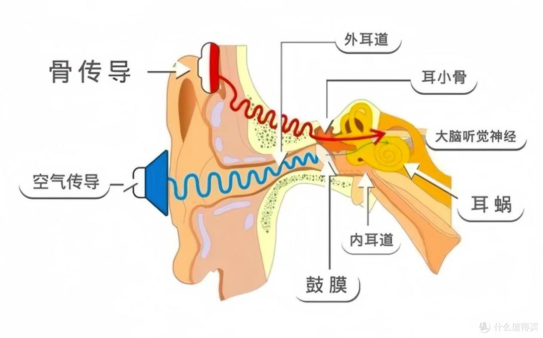 耳夹耳机和挂耳式哪个舒服?2025高性价比耳机推荐。