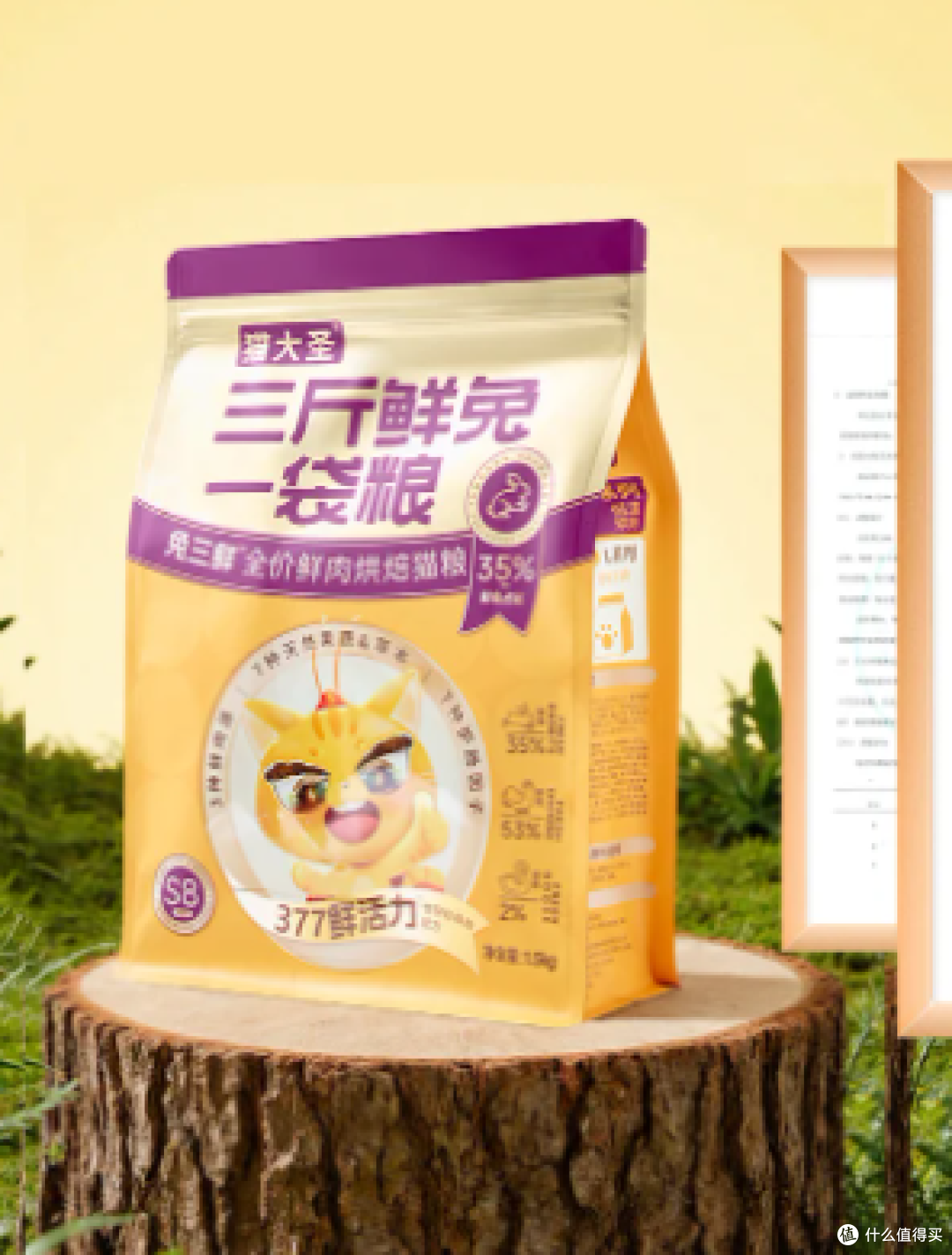 告别毒粮!2025 年十大安全可靠猫粮推荐