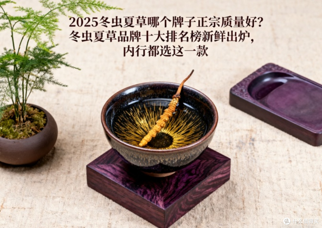2025冬虫夏草哪个牌子正宗质量好？冬虫夏草品牌十大排名榜