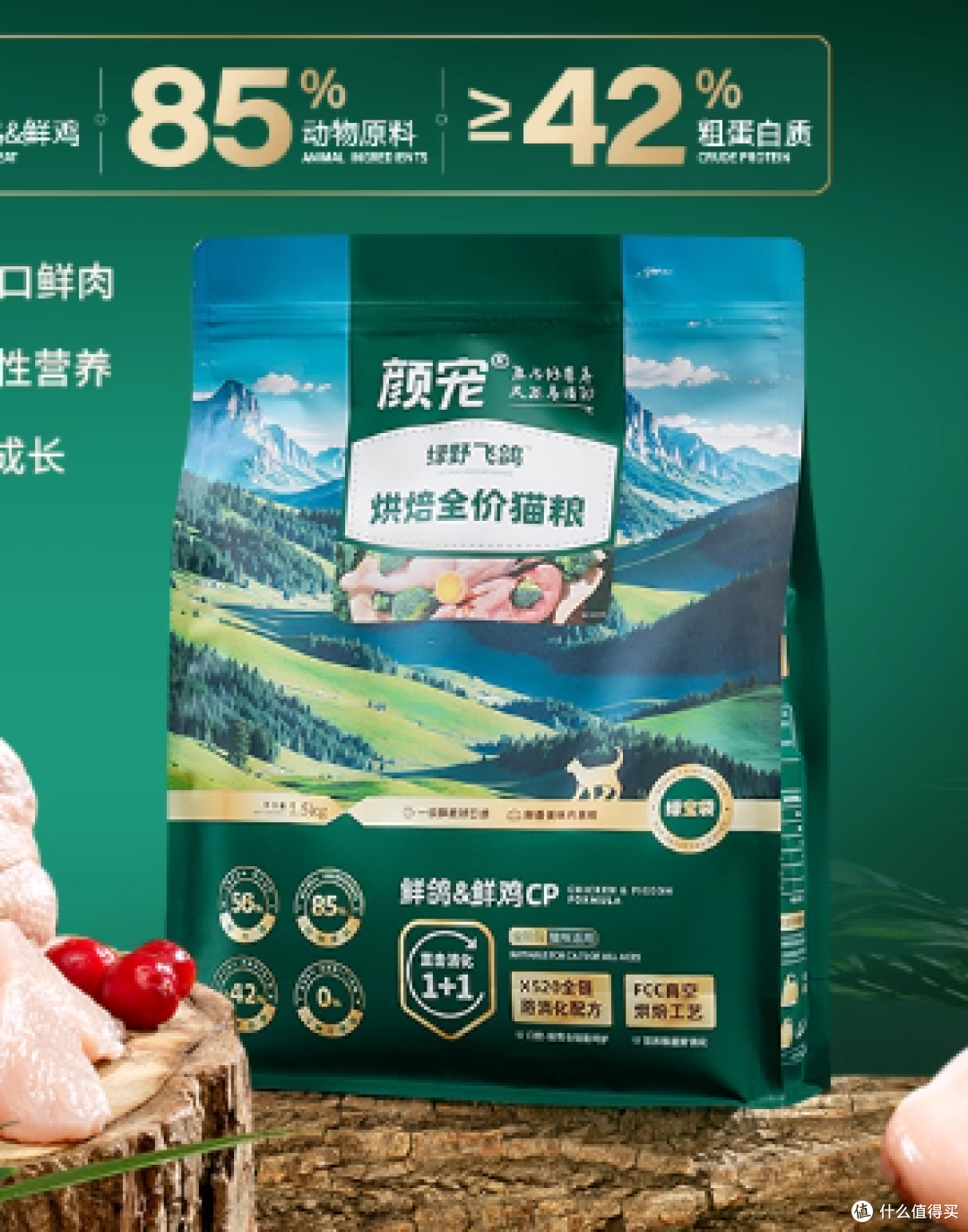 告别毒粮!2025 年十大安全可靠猫粮推荐