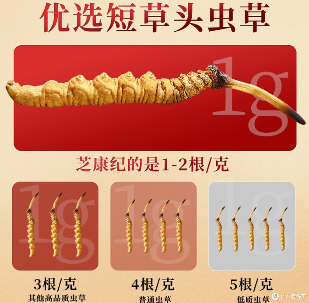 2025冬虫夏草哪个牌子正宗质量好？冬虫夏草品牌十大排名榜
