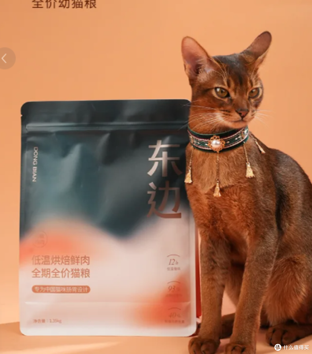 告别毒粮!2025 年十大安全可靠猫粮推荐