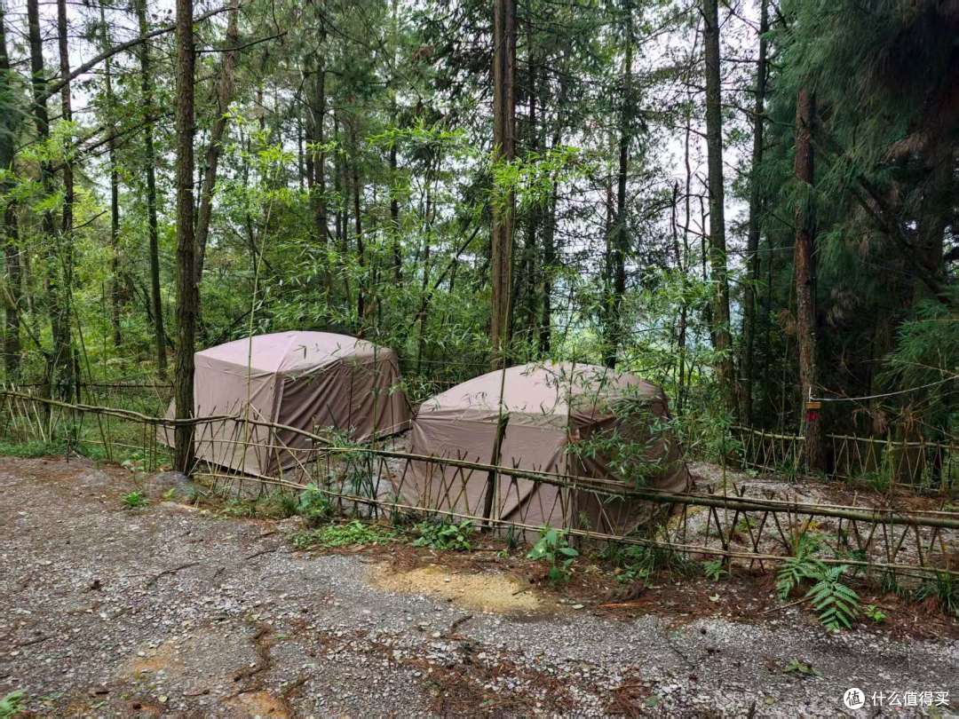 白马草堂:藏在森林里的露营与疗愈之地